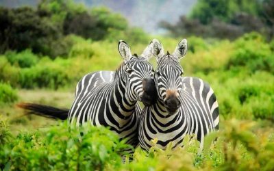 LAKE MBURO NATIONAL PARK