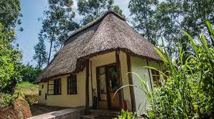 ACCOMMODATIONS IN BWINDI FOREST NATIONAL PARK